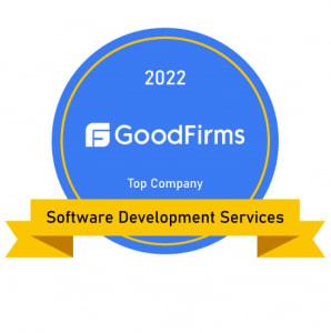 Top Company in Software Development Services